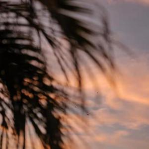 亿同玩彩虹小蓝GTV免费
