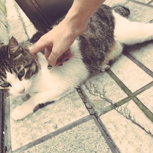 亿同玩彩虹小蓝GTV免费
